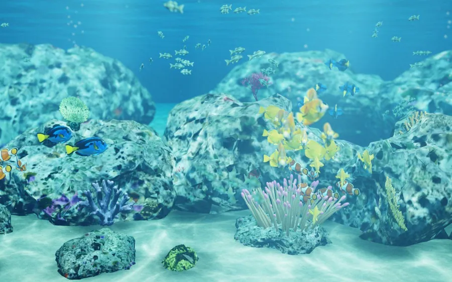 The coral reef tank